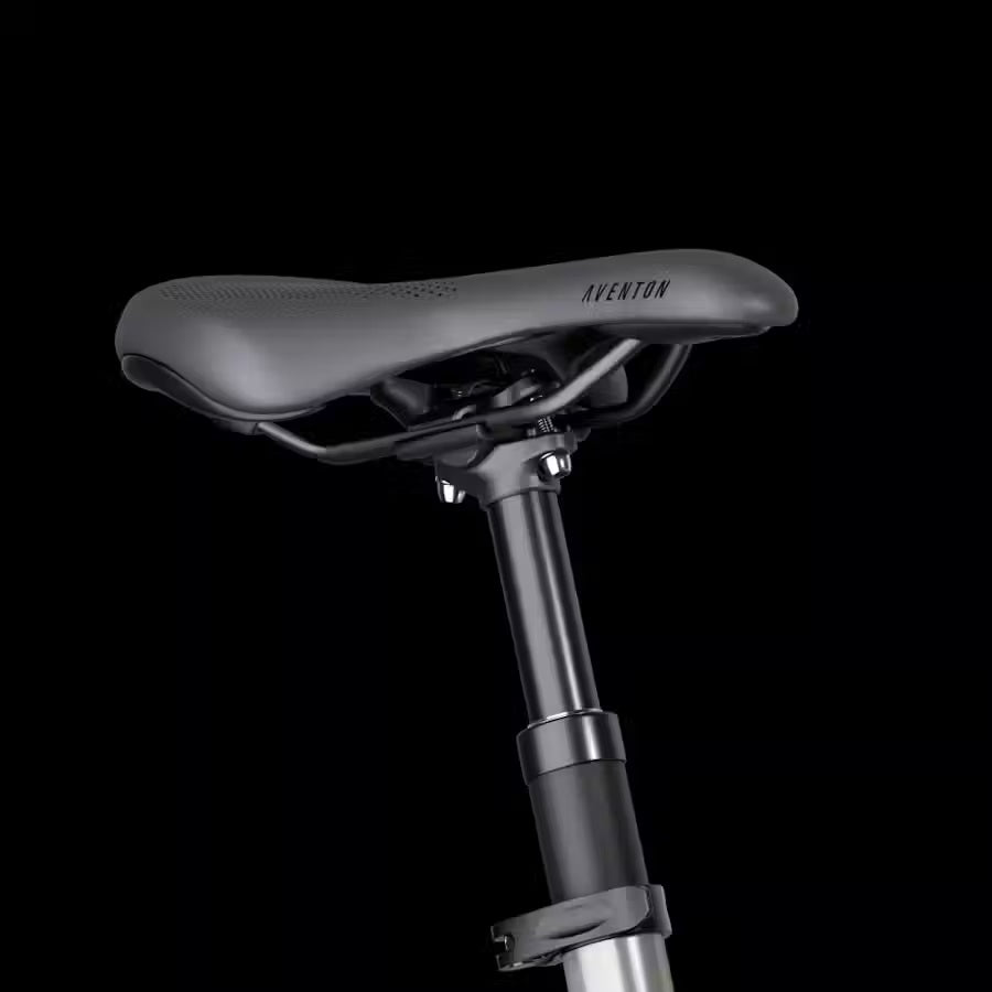 Large Aventon Level 3