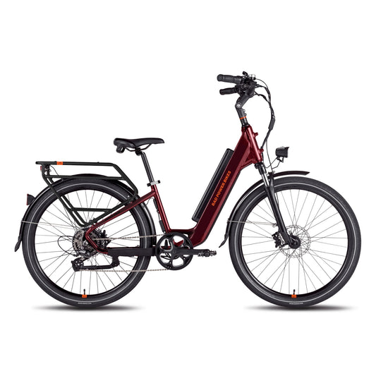 RadCity 5 Plus Electric Commuter Bike