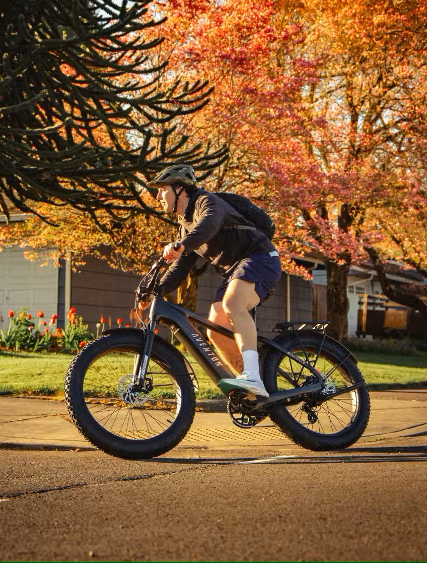 Large Aventon Aventure 3