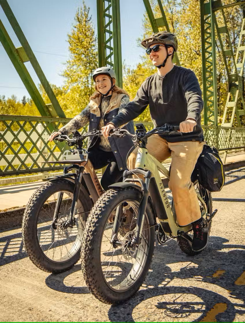 Large Aventon Aventure 3