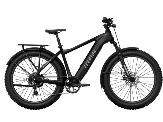 Large Aventon Aventure 3