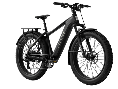 Large Aventon Aventure 3