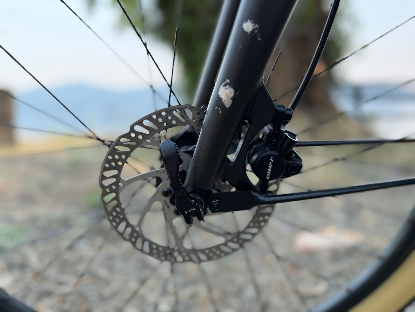 Pre Owned Momentum LaFree E+