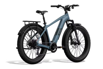 Large Aventon Aventure M