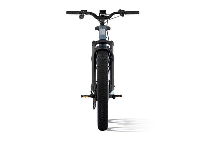 Large Aventon Aventure M