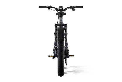 Large Aventon Aventure M