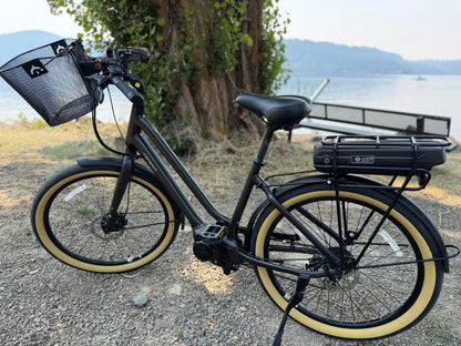 Pre Owned Momentum LaFree E+