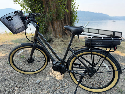 Pre Owned Momentum LaFree E+