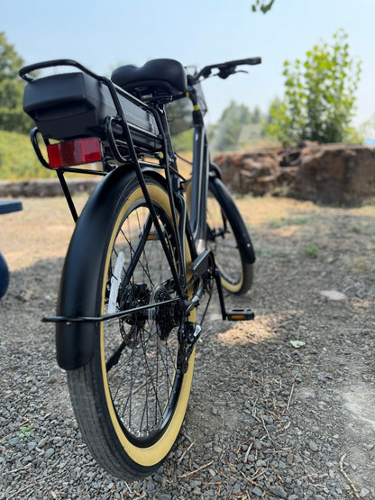 Pre Owned Momentum LaFree E+