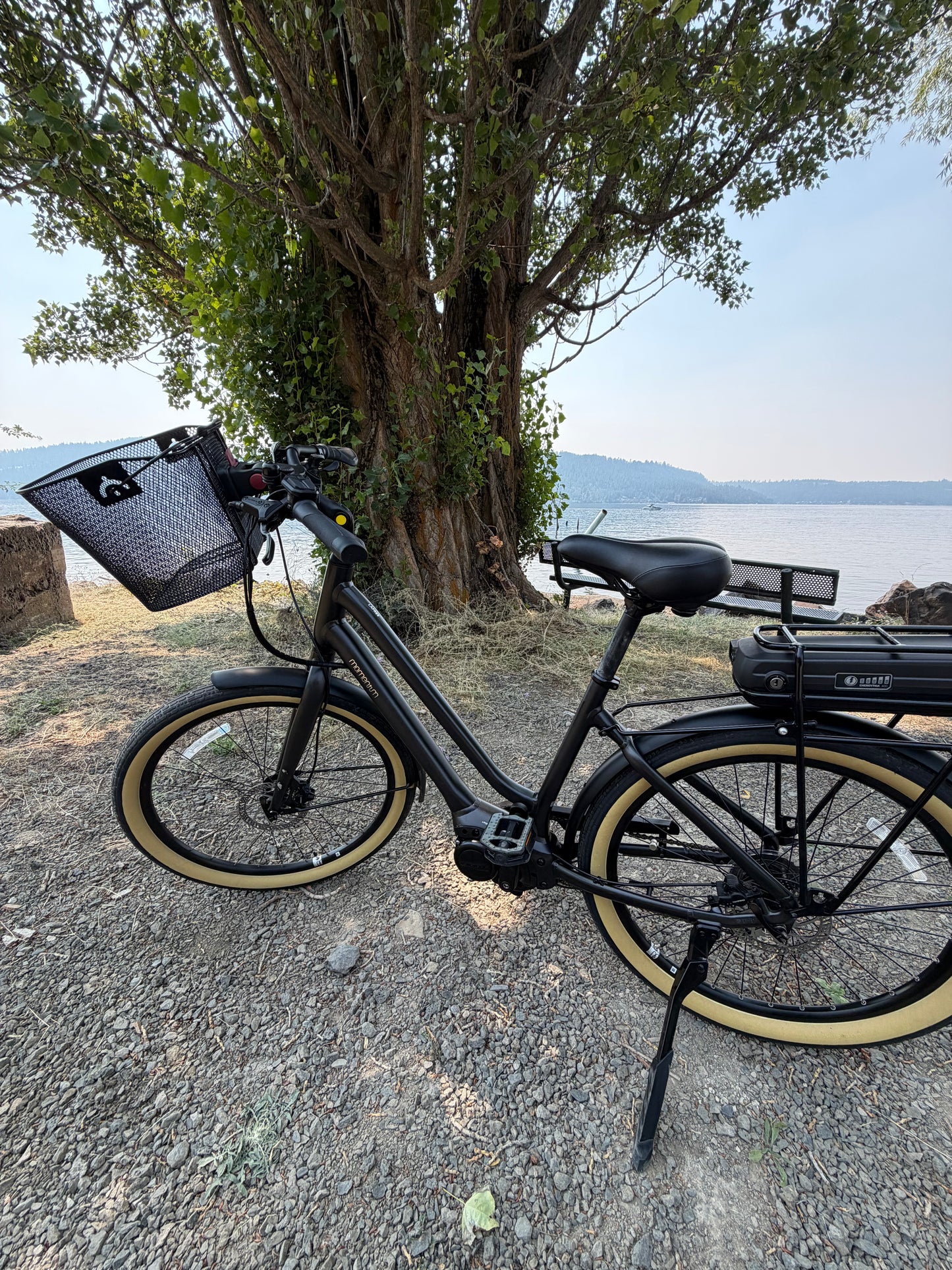Pre Owned Momentum LaFree E+