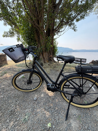 Pre Owned Momentum LaFree E+
