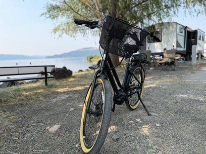 Pre Owned Momentum LaFree E+
