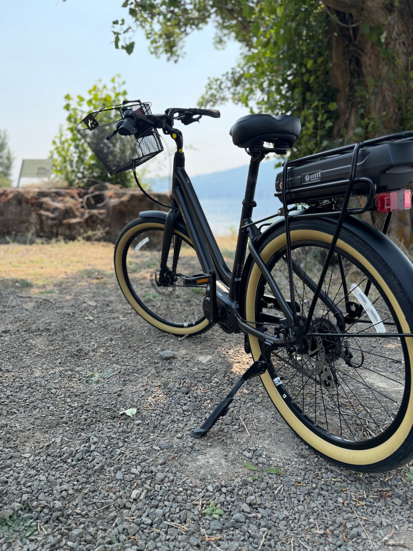 Pre Owned Momentum LaFree E+
