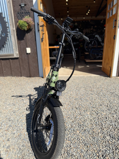 Pre-Owned Lectric XP4 Long Range Step Over