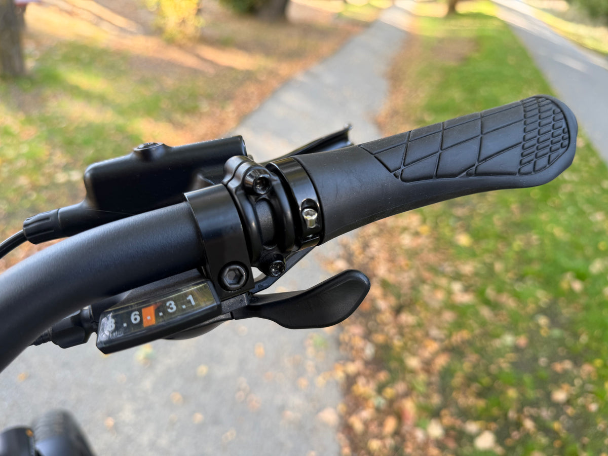 Pre-Owned Lectric XP4 Step Over
