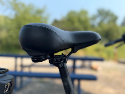 Pre Owned Momentum LaFree E+