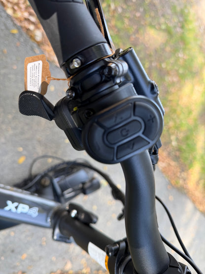 Pre-Owned Lectric XP4 Step Over