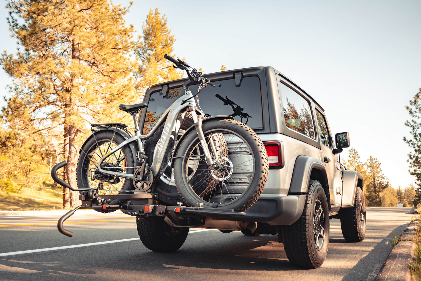 Aventon Hitch Rack mounted - common