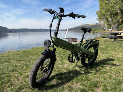 Pre-Owned Lectric XP4 Long Range Step Over
