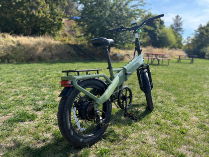 Pre-Owned Lectric XP4 Long Range Step Over