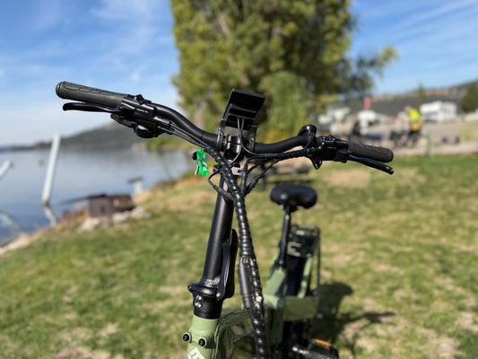 Pre-Owned Lectric XP4 Long Range Step Over