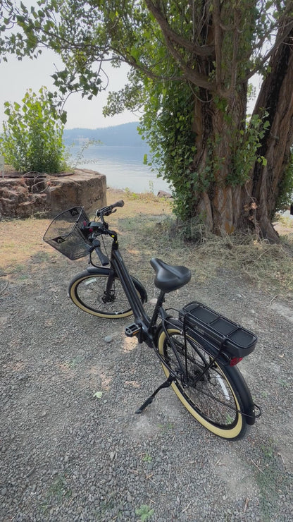 Pre Owned Momentum LaFree E+