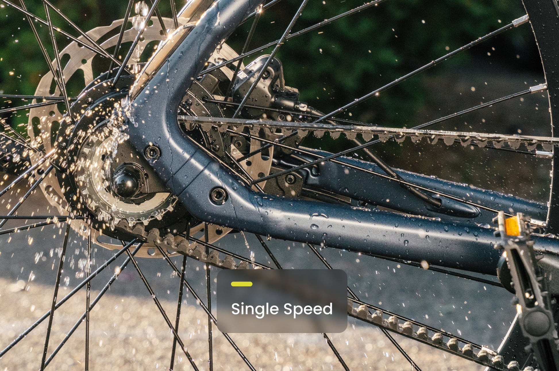 Soltera 3 ADV info - Single Speed - common